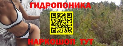 прущий лед Гагарин