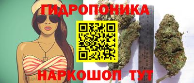 прущий лед Гагарин