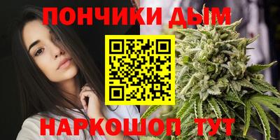 прущие крисы Гатчина