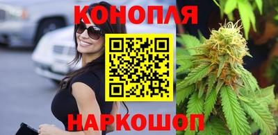 прущие крисы Гатчина
