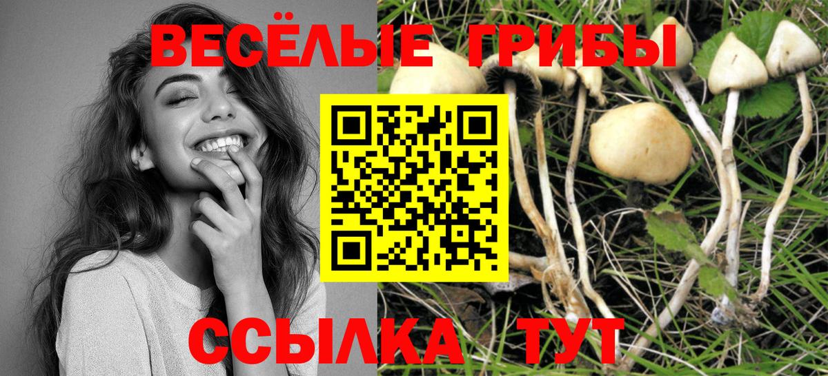 Галлюциногенные грибы GOLDEN TEACHER Березники