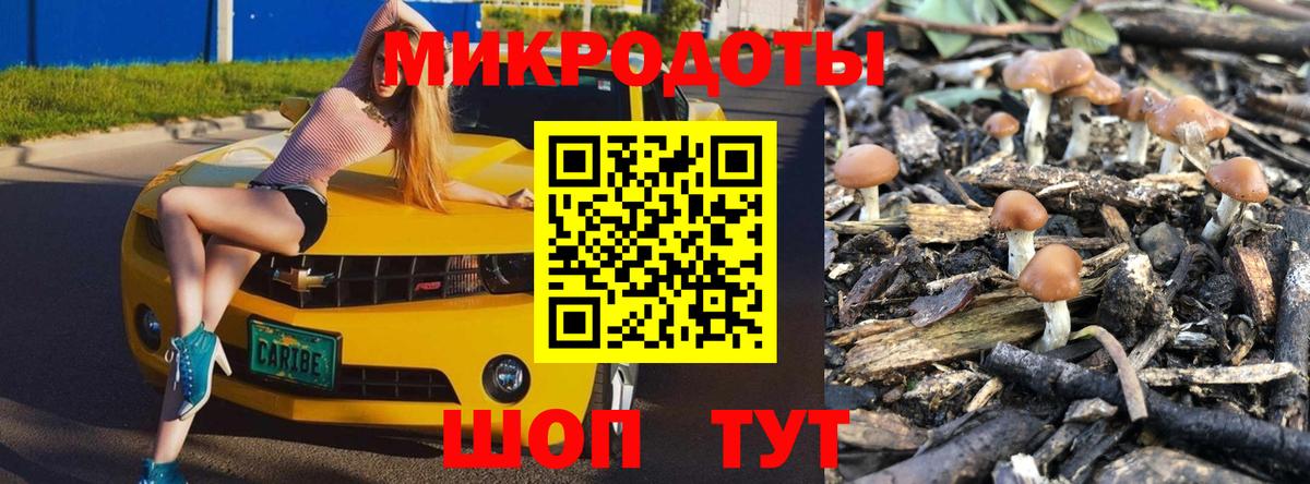 Галлюциногенные грибы прущие грибы  Псилоцибиновые грибы мухоморы  Вход с VPN  как найти закладки  Березники 